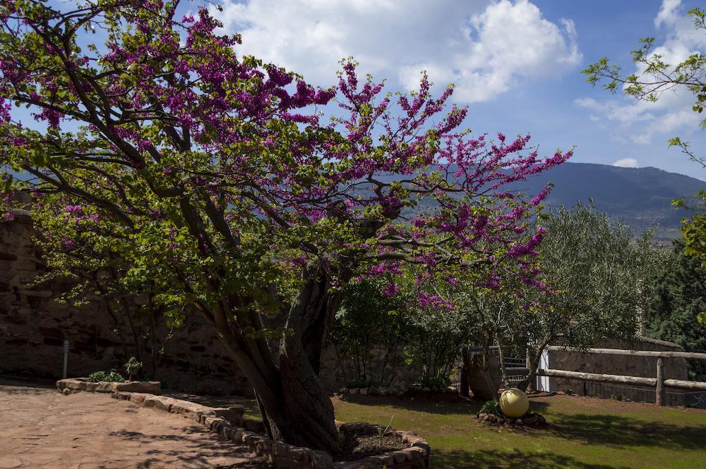 Casa Rural Los Lilos Gotor Стая снимка